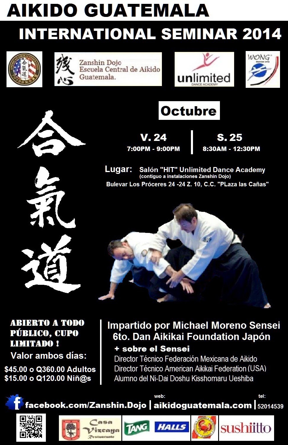 Afiche 12vo. Seminario Zanshin Dojo Aikido Guatemala