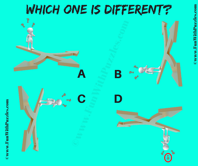The Answer to this Odd One Out Picture Puzzle is D.