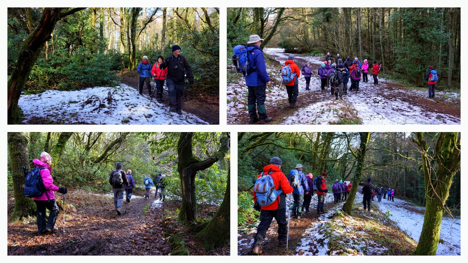 The Glebe Blog Wigtownshire RamblersSt Helena IslandGlenluce Abbey January 2015