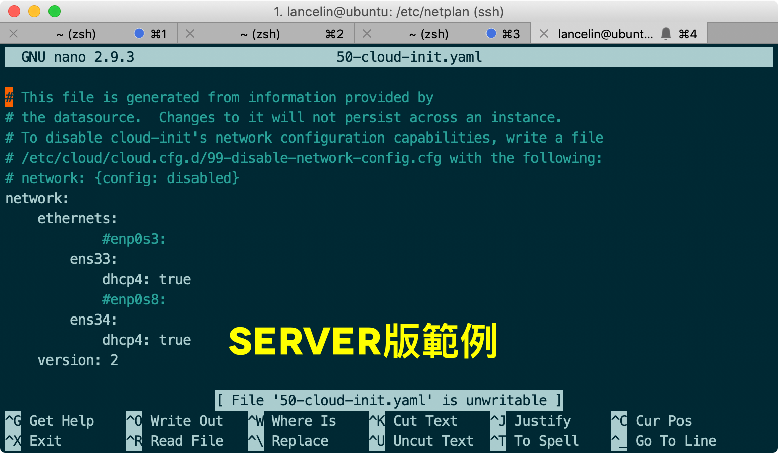 netplan Server版設定檔