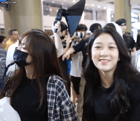 222.gif