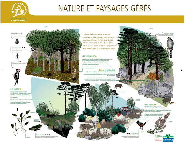 [BLEAU] Les panneaux ONF d'information font peau neuve en forêt