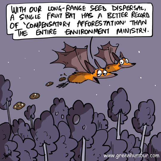 Green Humour Fruit Bat Seed Dispersal