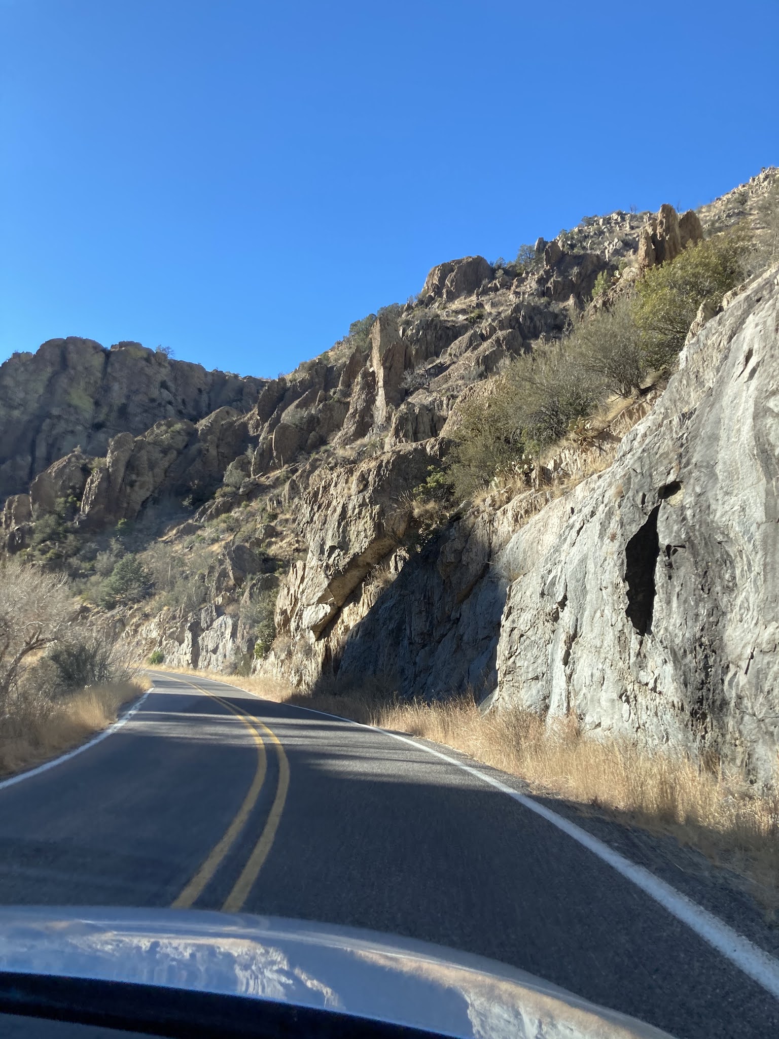 Reluctant Rebel Getting Back To Life As We Once Knew It (Kind Of)