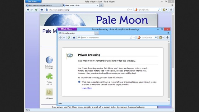 Pale Moon 32.2.1 for windows instal