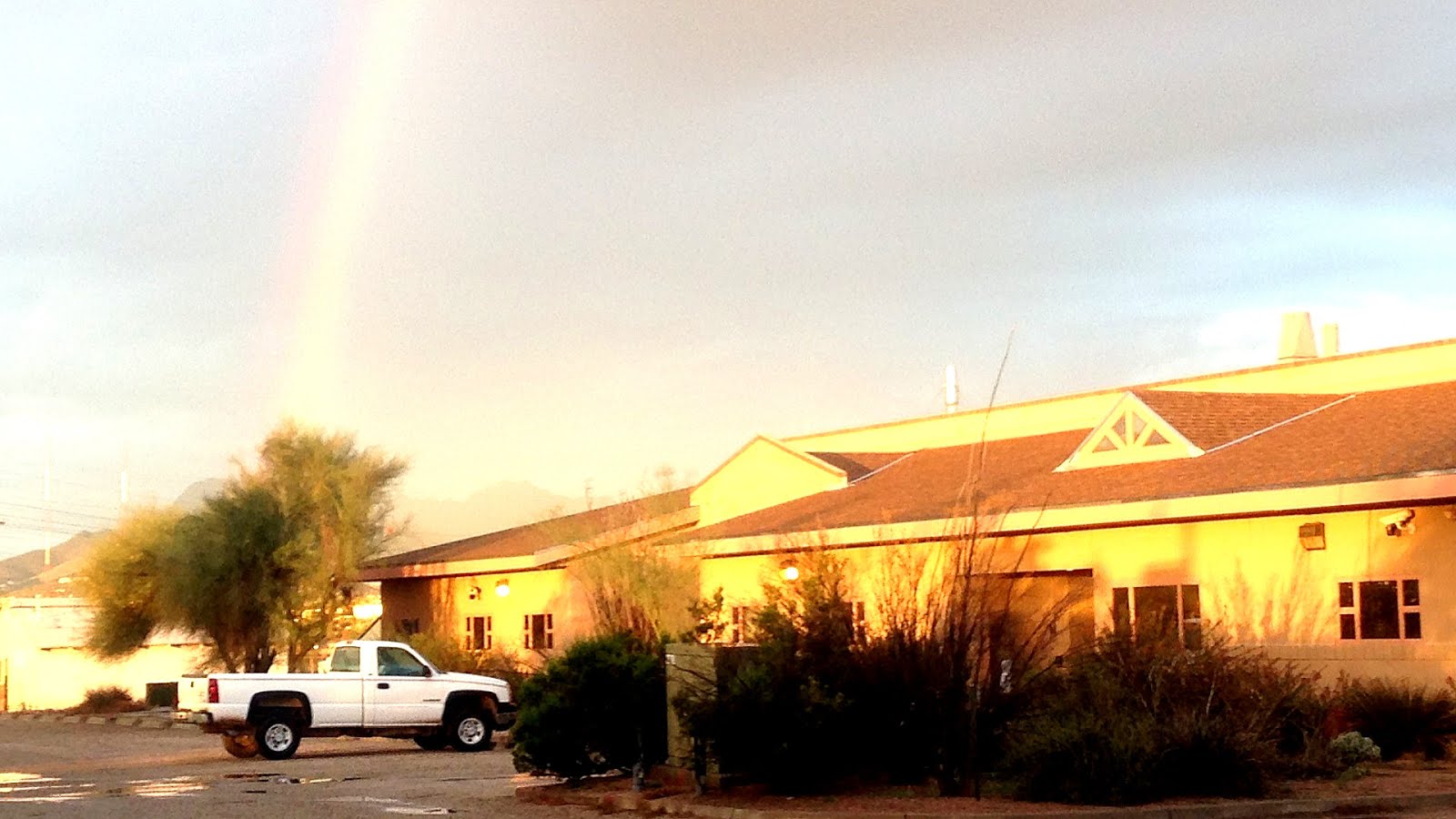 Veterinary Colleges In Arizona College Choices