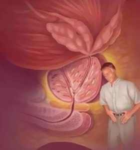 [Image: tang-san-280x300.jpg]