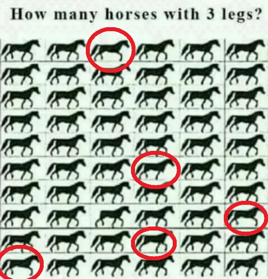 How Many Horses with 3 Legs with Answer Forward Junction Puzzles