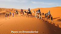 Paseo en Camello, Noche en el Desierto