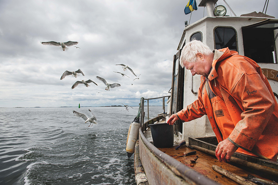 Marcus Gustafsson: Fiskare, Hummelvik