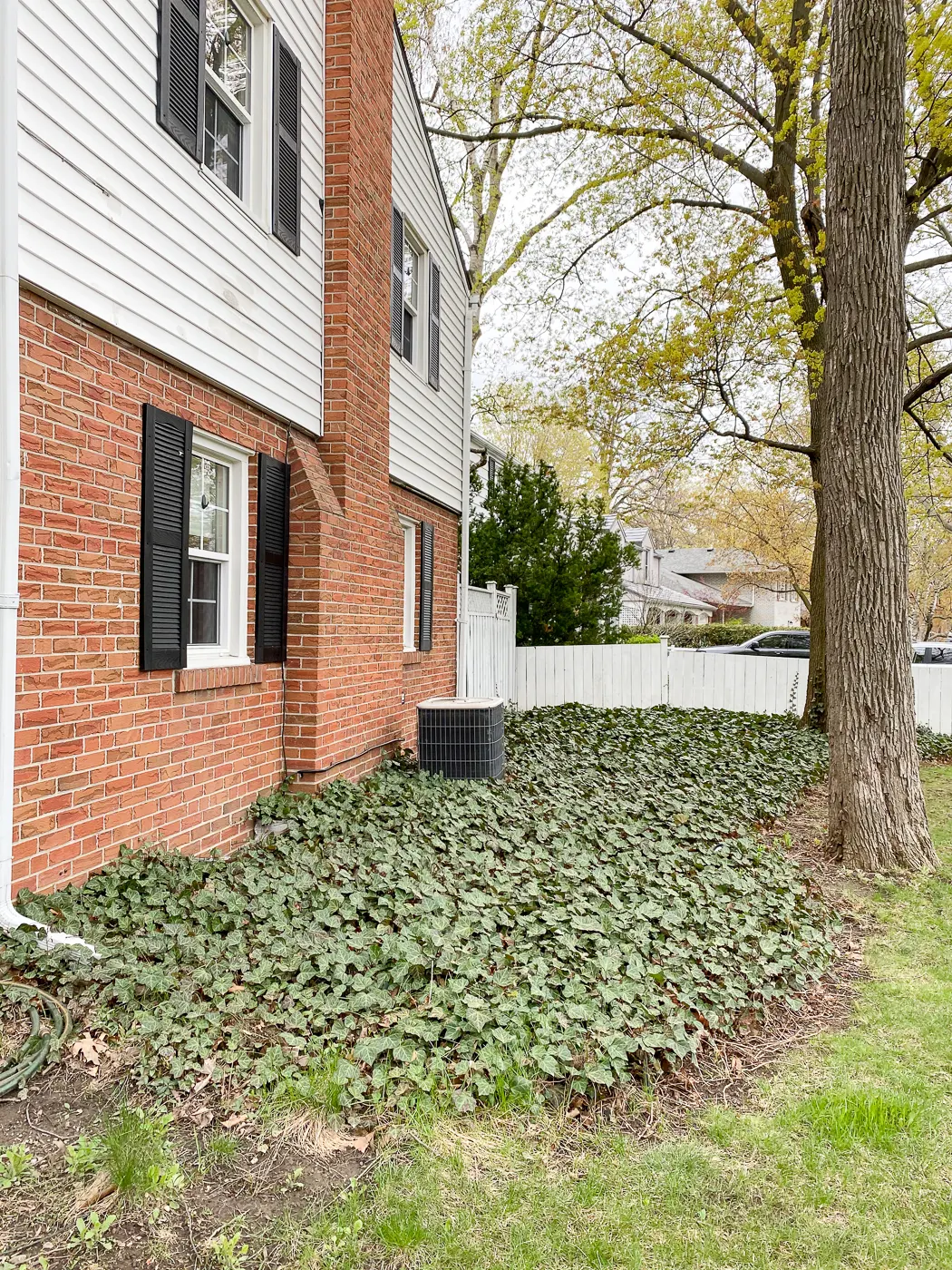 front garden makeover before