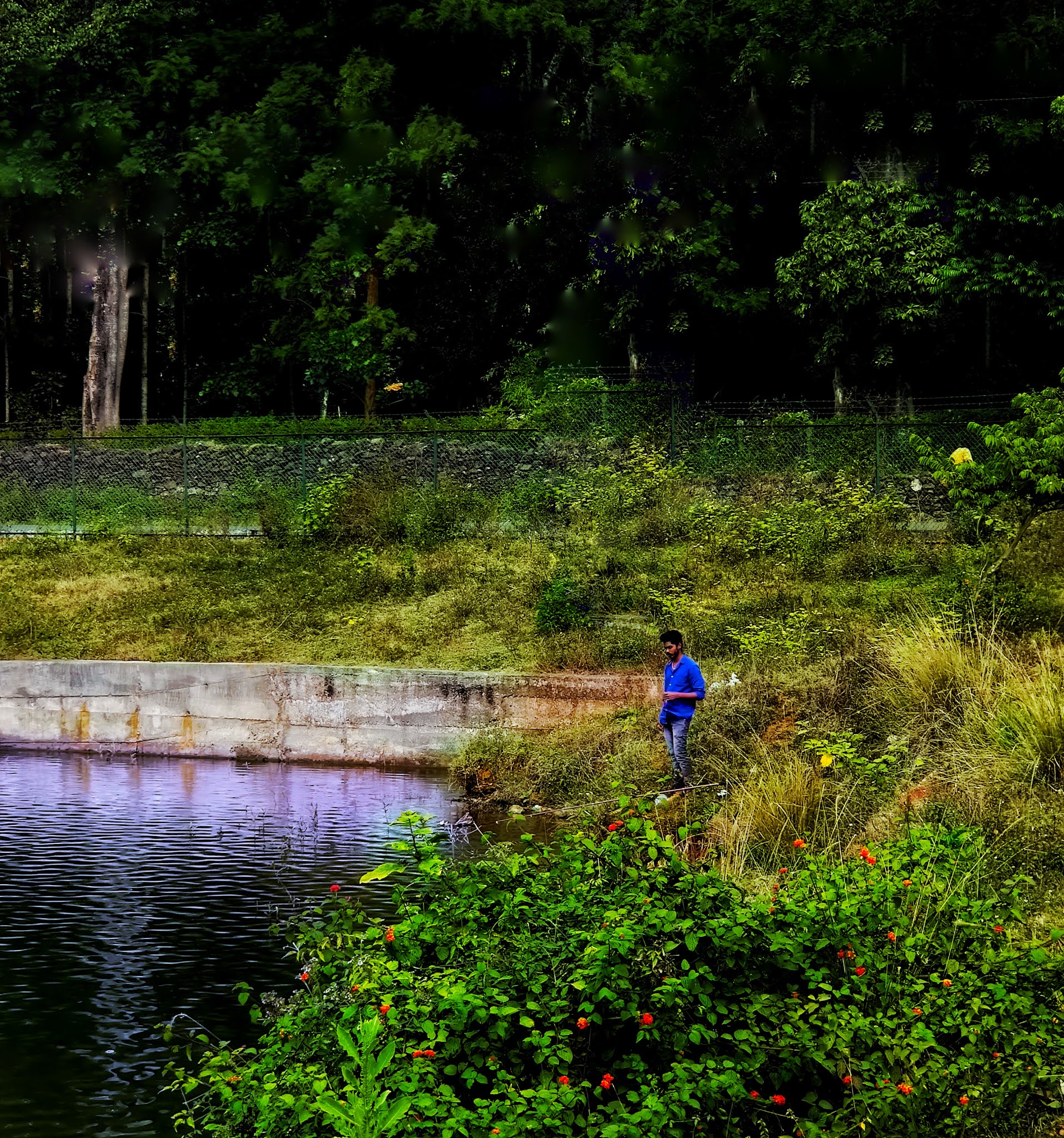 Still from hirekolale lake