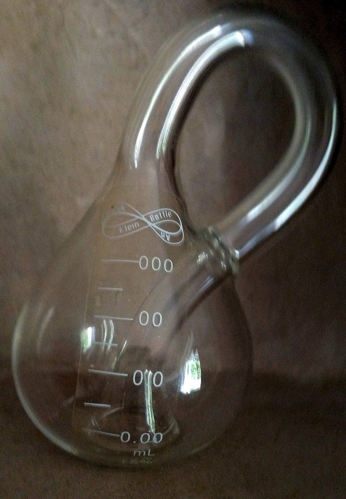 The Mathematical Tourist Immersed in Klein Bottles