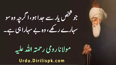 Rumi Quotes in Urdu