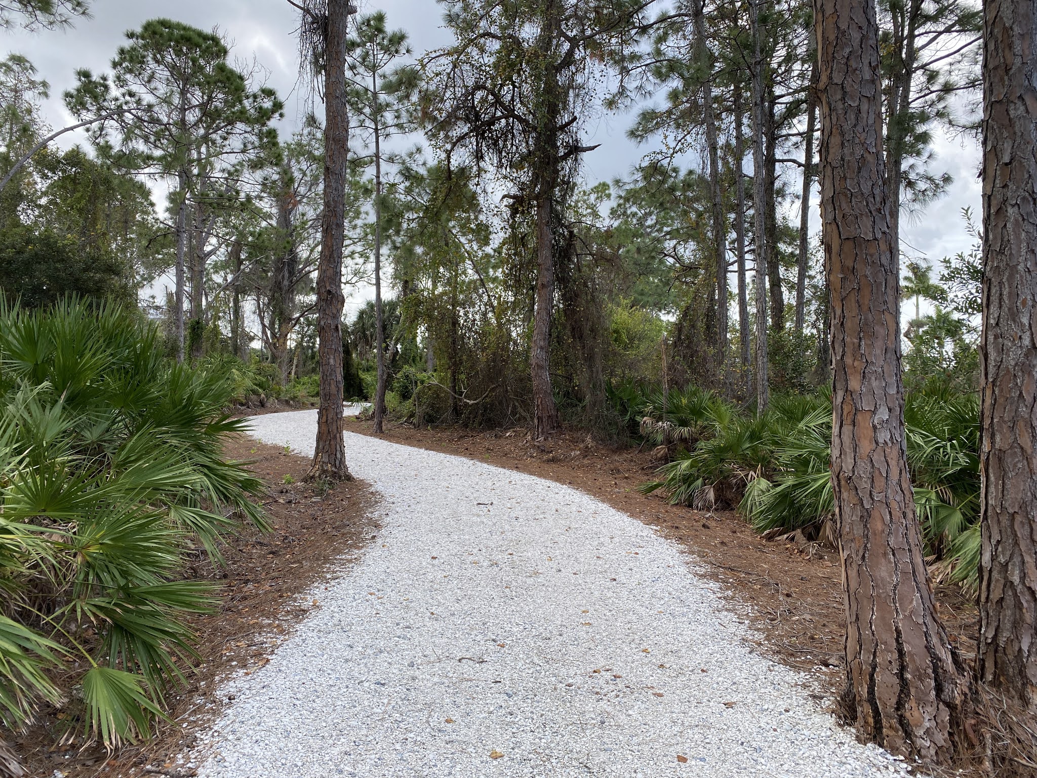 Southwest Daily Images Shell Path