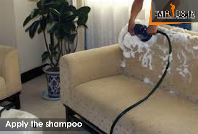 Apply the shampoo