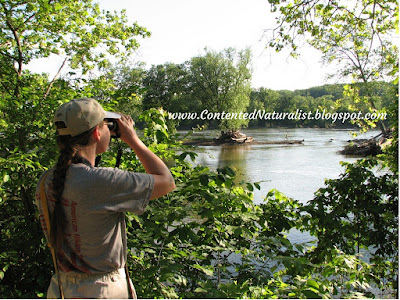 I use binoculars to gaze across the Potomac River.