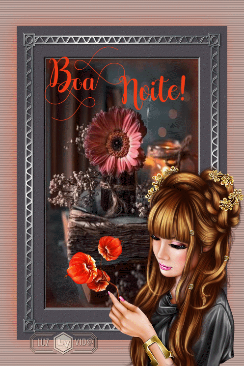 NOVO178-%2528MB%2529maryluz.gif