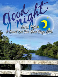 good night sweet dreams photos good night sweet dreams photos
