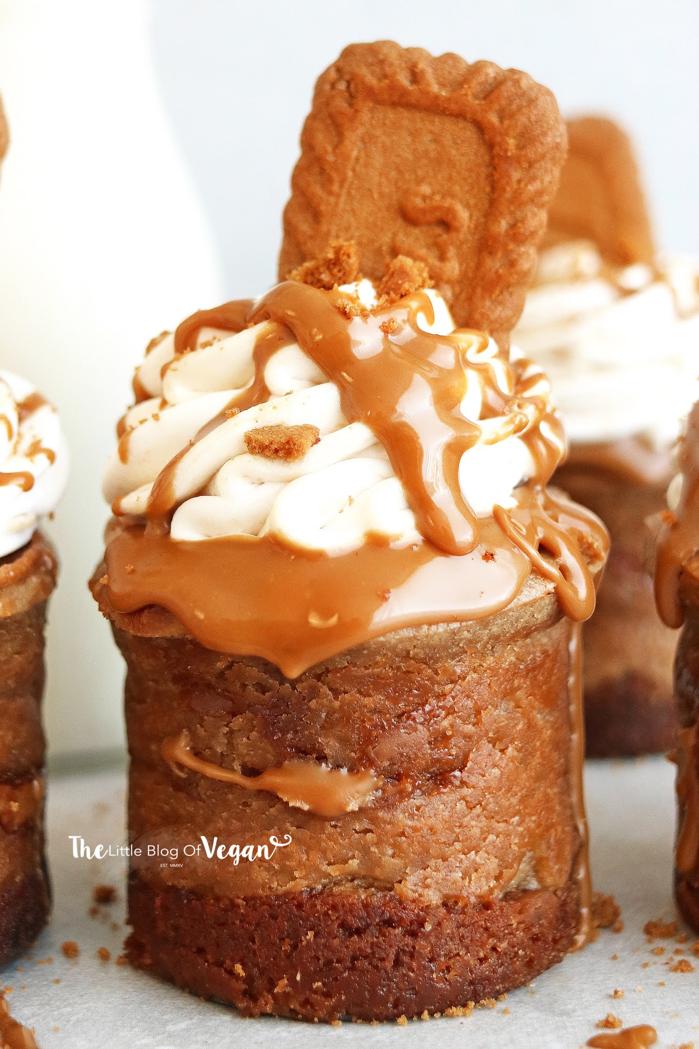 Mini Baked Biscoff Cheesecakes