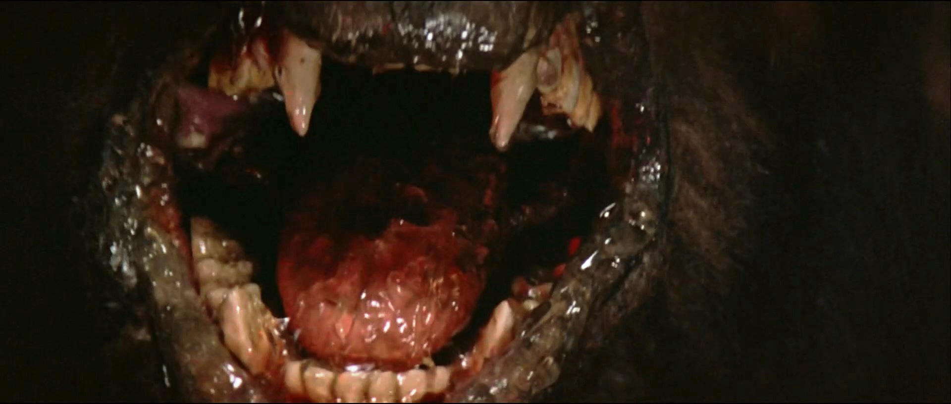 A Hora do Lobisomem 5