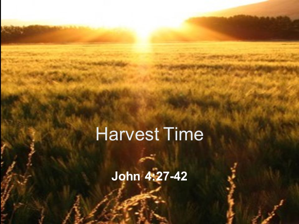 half baked harvest every day half baked harvest every day