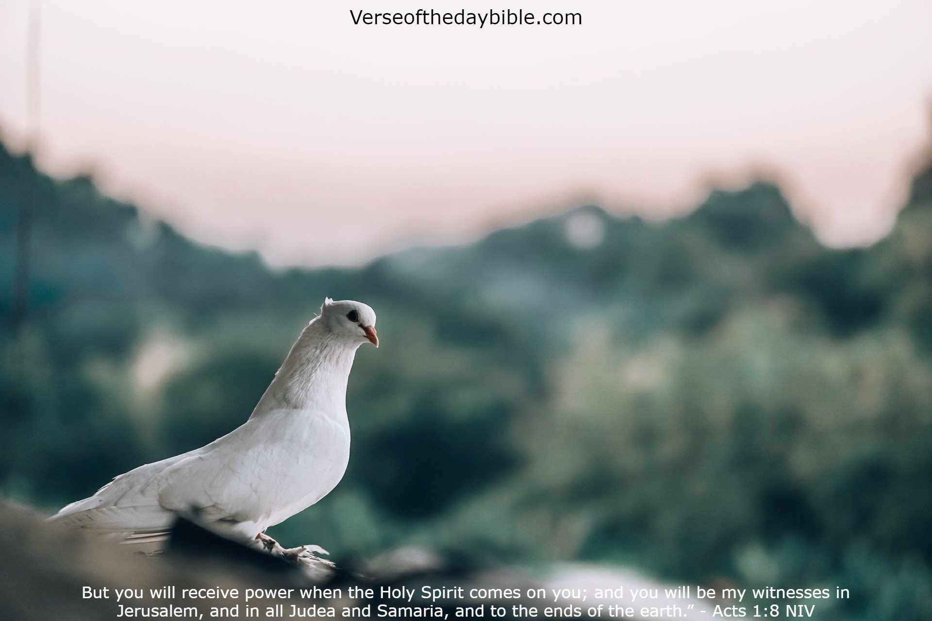 Verse Of The Day In English Acts 1 8 NIV Verseofthedaybible verse-of-the-day-in-english-acts-1-8-niv-verseofthedaybible