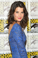 Cobie Smulders HQ photo