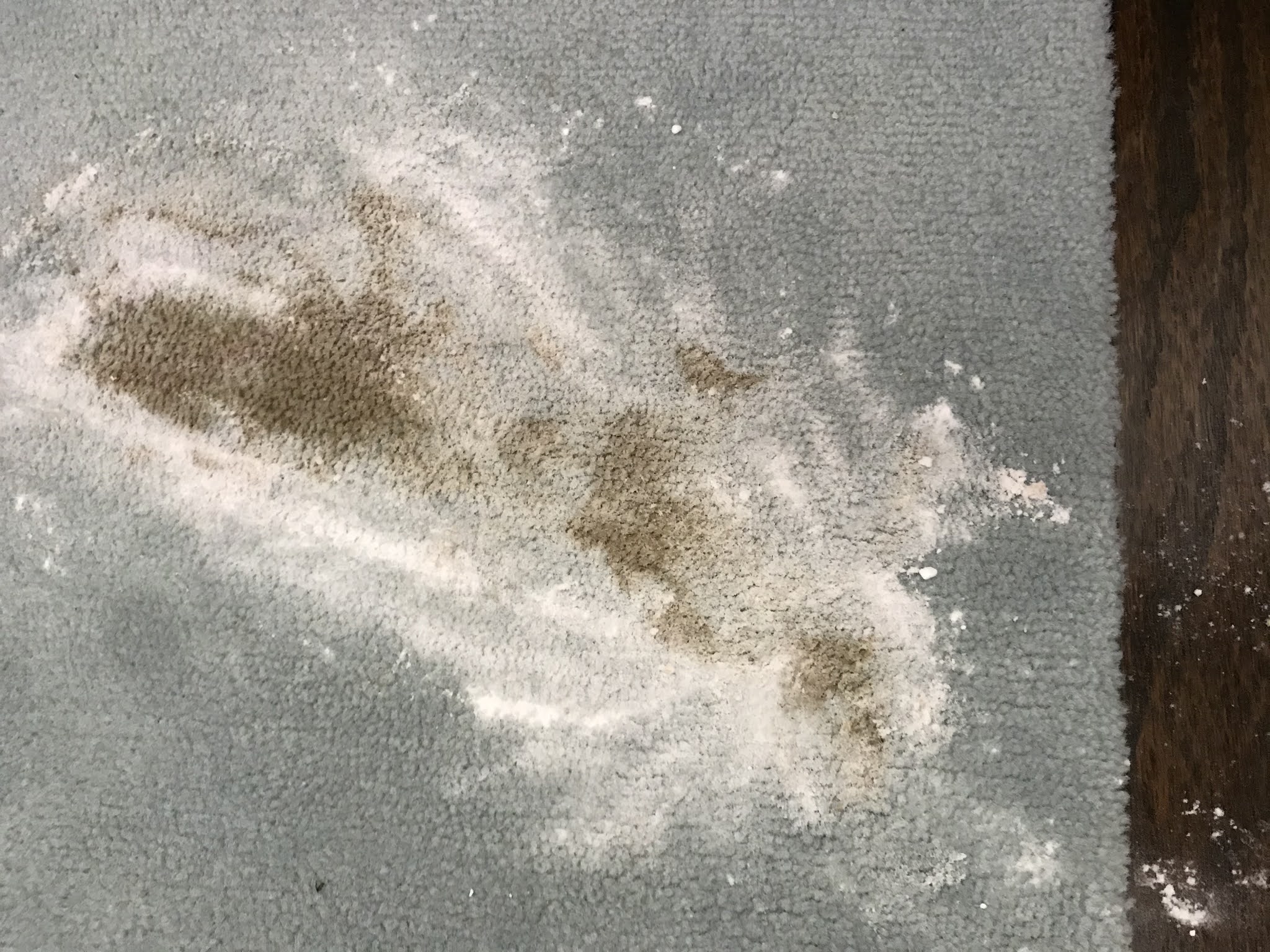 Tips for How to Clean Vomit Out of Children's Carpet with a Baking Soda