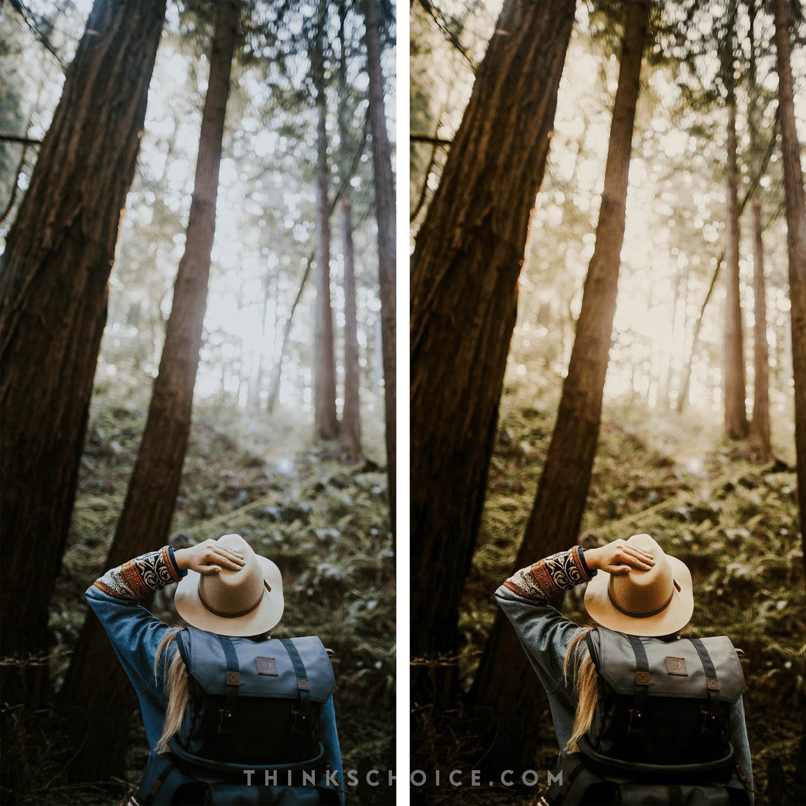 Jungle Presets - Minimal Brown Collection (LR Desktop & Mobile)