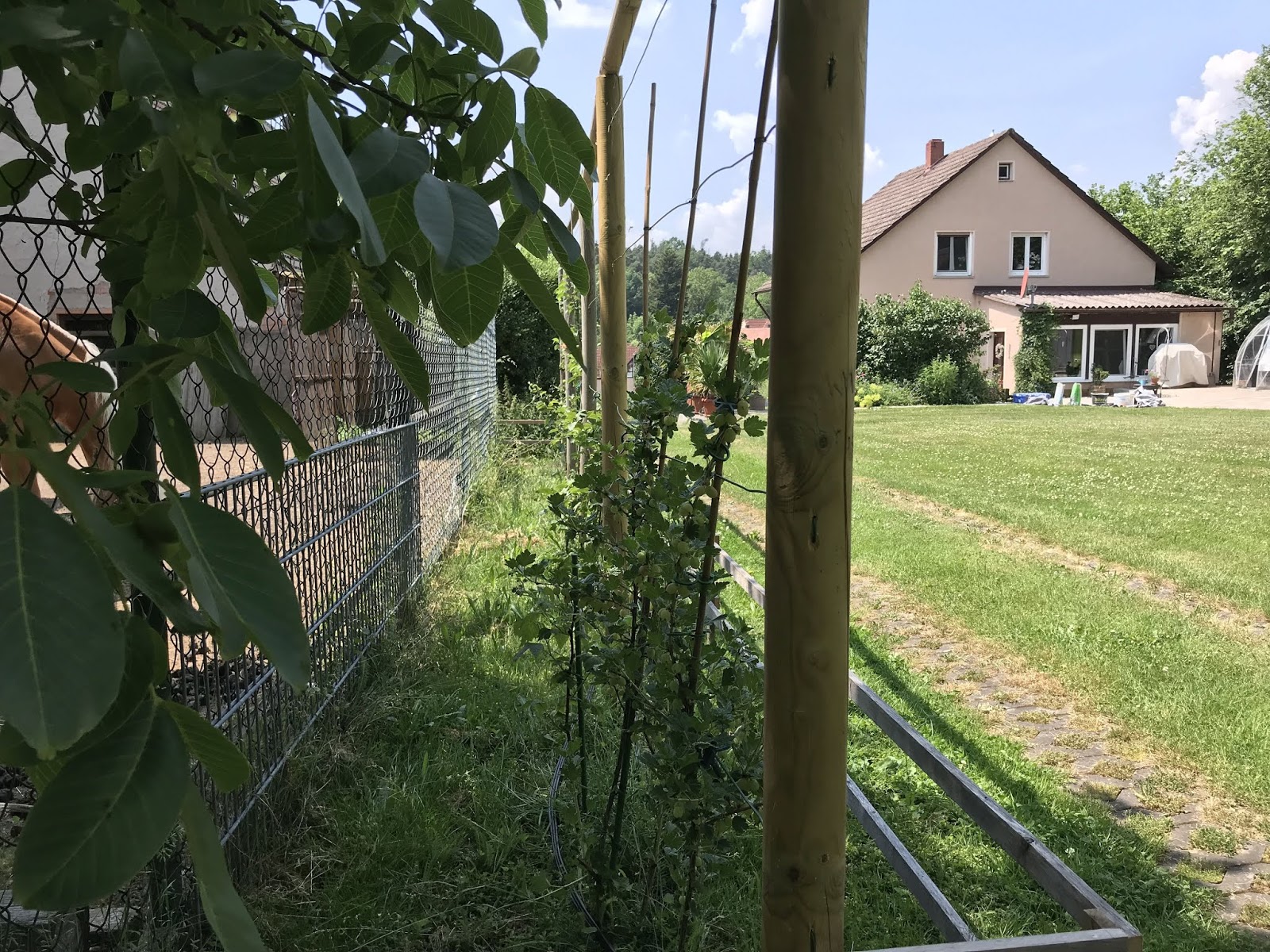 Zwiebelpost Bergblumengarten