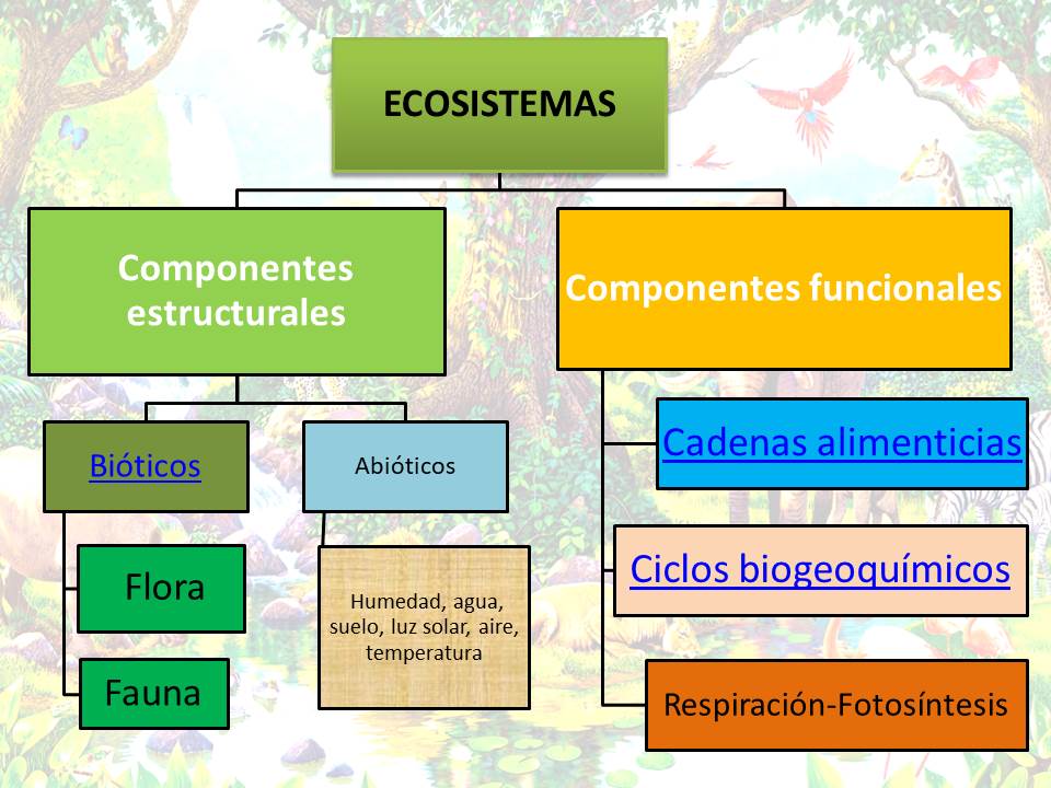 ECOSISTEMAS