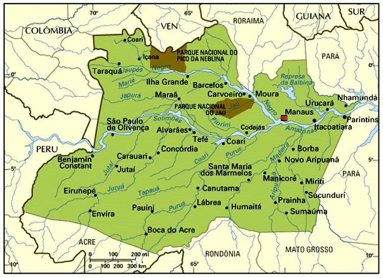 MAPA DO AMAZONAS PARA IMPRIMIR E COLORIR COM SEUS MUNICÍPIOS coisas pra ver MAPA DO AMAZONAS PARA IMPRIMIR E COLORIR COM SEUS MUNICÍPIOS coisas pra ver