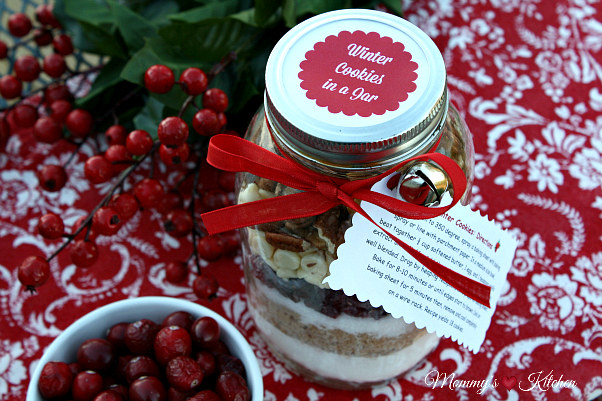 Cranberry White Chocolate Oatmeal Cookies In A Jar - Suburban