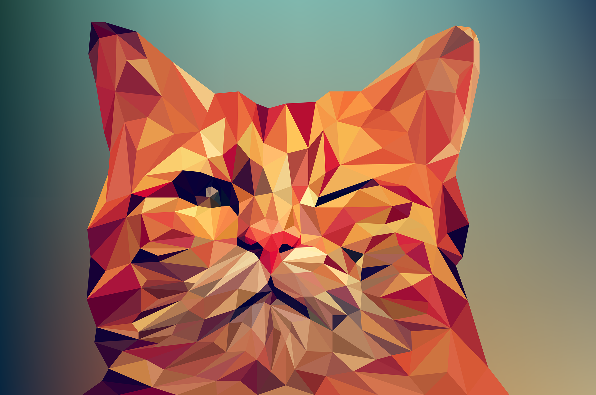 5 Best Free Vector Graphic Design or Alternate to Illustrator Software