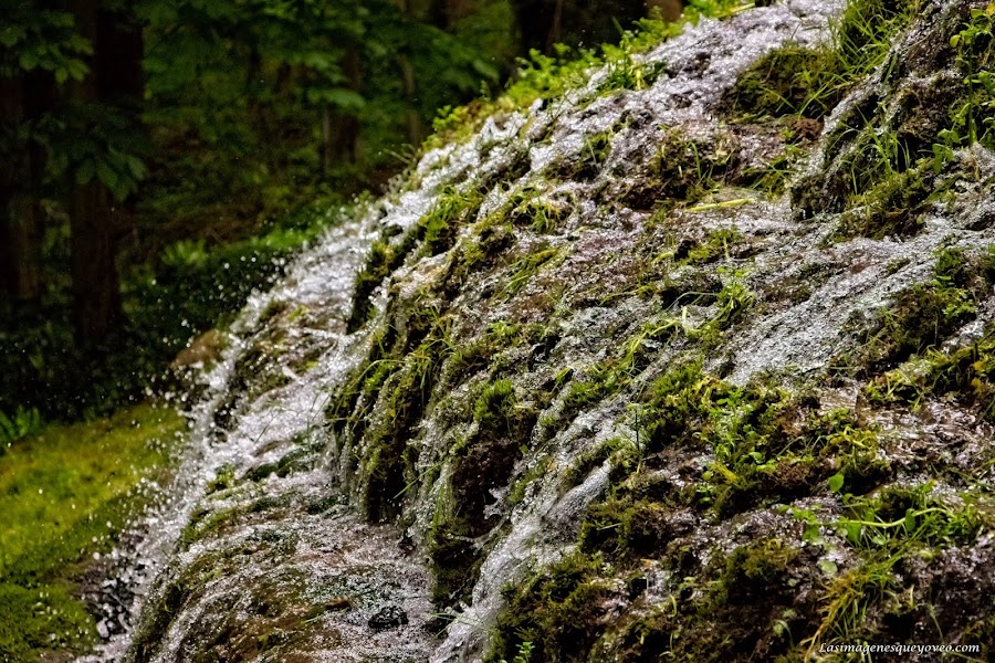 Parque Natural del Monasterio de Piedra