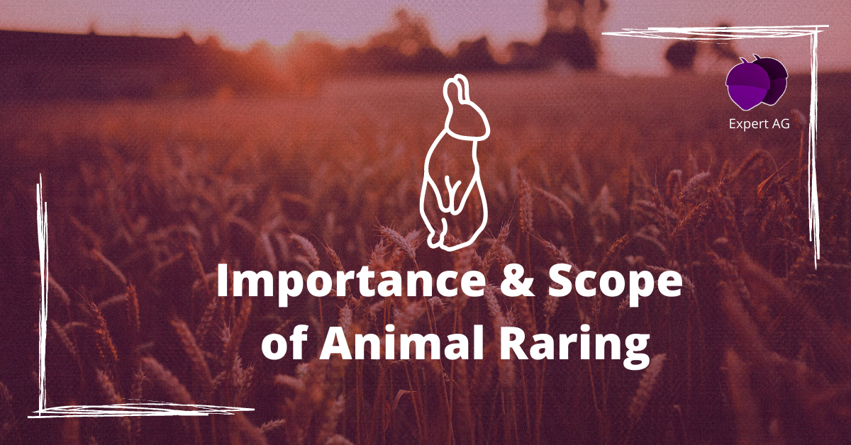 Importance and Scope of Animal rearing