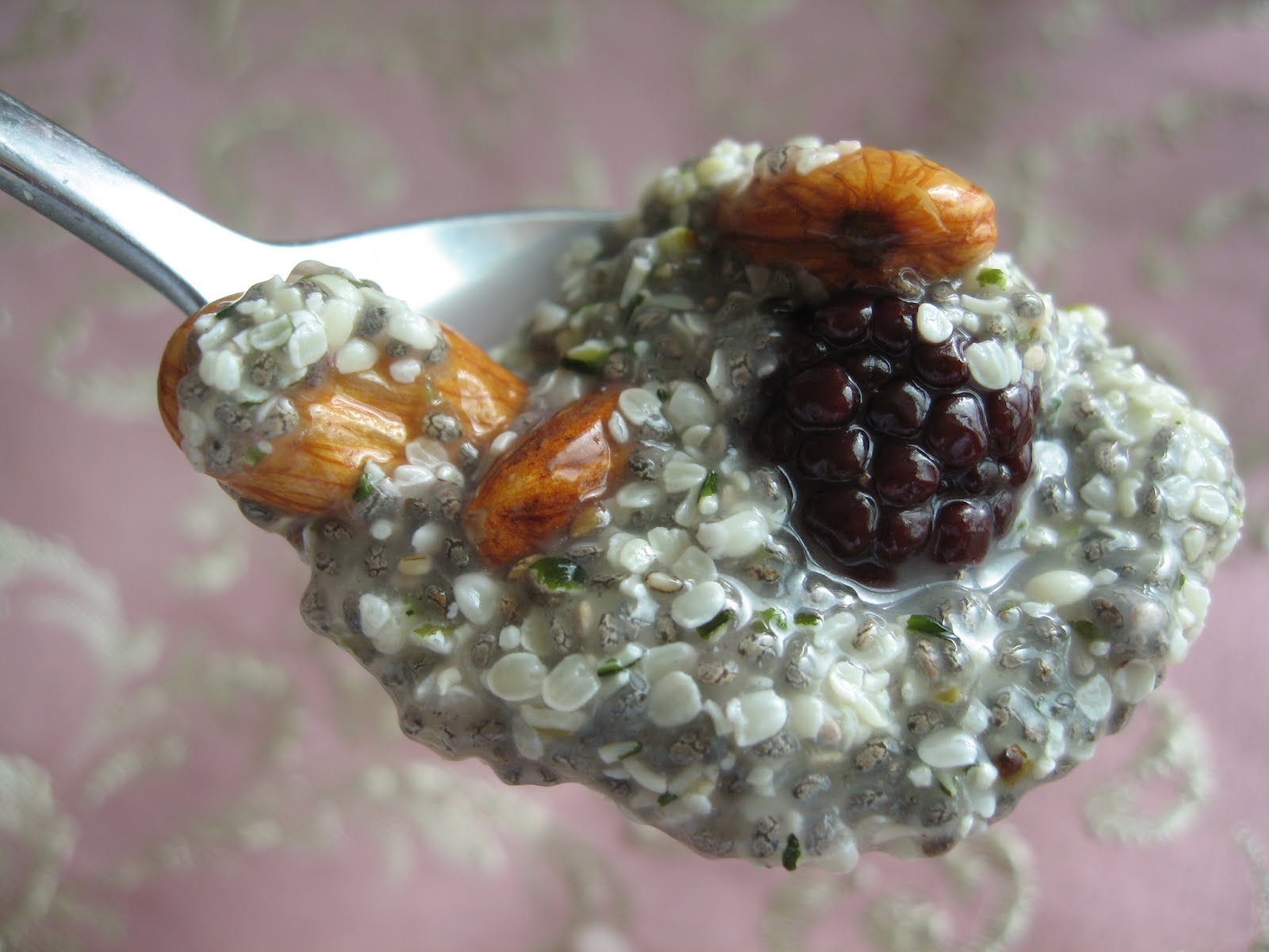 Systemic Candida Chia Seed Puddings