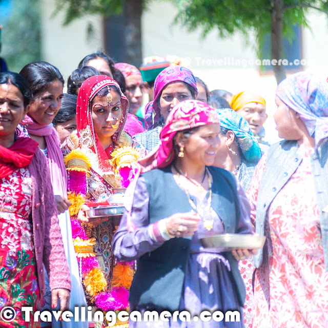 Being a native of lower-Himachal, I always wanted to a Kinnauri Wedding. We had heard a lot of weddings which happen in upper himachal which is full of apple orchards and other fruits. During my sabbatical we were out for Kinnaur expidition and had few quick glimpses which we wanted to share. Check out this Photo Journey to know more about weddings which happen in Kinnaur region.Some time back Jitendra, an acclaimed Travel Photographer, shared some great photographs from Kinnaur at  http://phototravelings.blogspot.com/2013/02/snow-covered-region-of-kinnaur-district.html This Photo Journey shares overall culture of Kinnaur region very well. I thought of re-sharing the link so that new viewers/readers can check out other details about the place as well. This is the typical band which is used in wedding of Kinnaur and upper shimla region of Himachal Pradesh. The main dance form during the marriages in Natti.  Nati is among the most important dance forms among the Performing Arts of Himachal Pradesh. Through the slow swaying movements of body, the dancing men and women celebrate the occasion. Nati-Folk Dance in Himachal Pradesh is performed by people dancing in the form of circles, or sometimes in rows. The performers generally wear richly hued costumes, attach a feather in their hair and with a sweet smile dance in slow rhythm. Since it was a sudden encounter, so not very sure what exactly is happening here. We could not see the groom in this whole group. It seems that family & relatives of bride were going to some temple for worship. If you notice, the lady who is next to the bride is carrying a plate with leading lady having a bell, which is usually used for worship only. At current time, Kinnauras do not constitute a homogenous group and display significant territorial and ethnic diversity. For a better understanding of ethnic and cultural distribution, the Kinnaur District may be classified into three territorial units. Lower Kinnaur comprise area between Chora at the boundary of the Kinnaur District with Rampur Bushahr and Kalpa including Nichar and Sangla valleys. Which means that the photographs in this Photo Journey belongs to lower Kinnaur. The middle Kinnaur is the area between Kalpa and Kanam including Moorang tehsil and rest is upper Kinnaur. The Bridge caught Travellingcamera capturing their photographs. Surprizingly there were very few men around this whole group