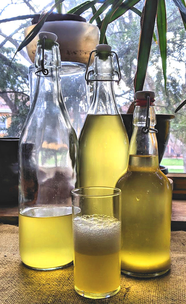 Femme au foyer: Baltic Christmas Day 16 - Honey-lemon kvass!