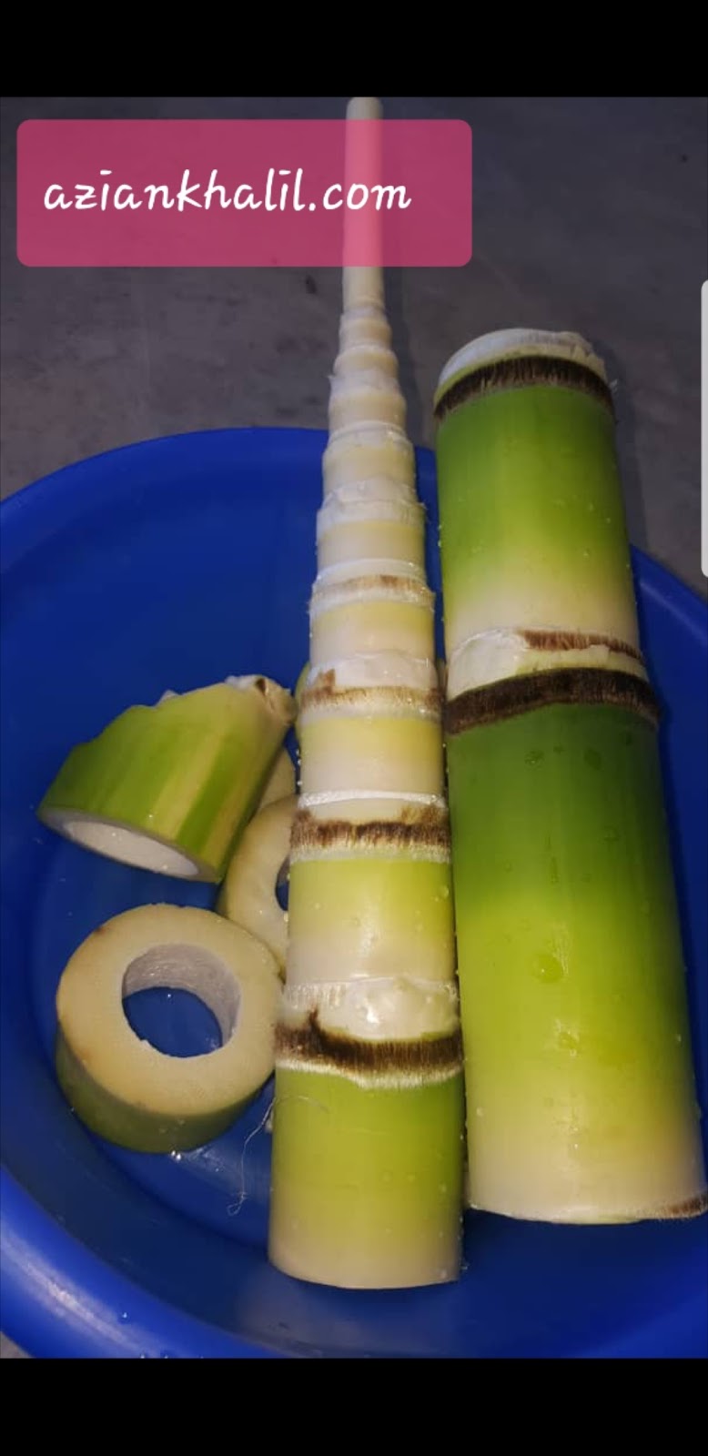 Aziankhalilcom Rebung