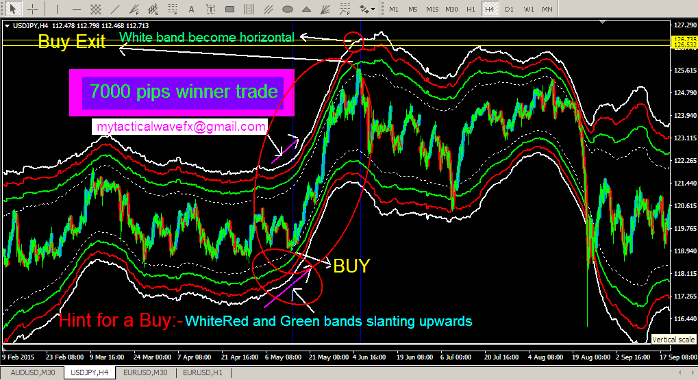 Fear forex