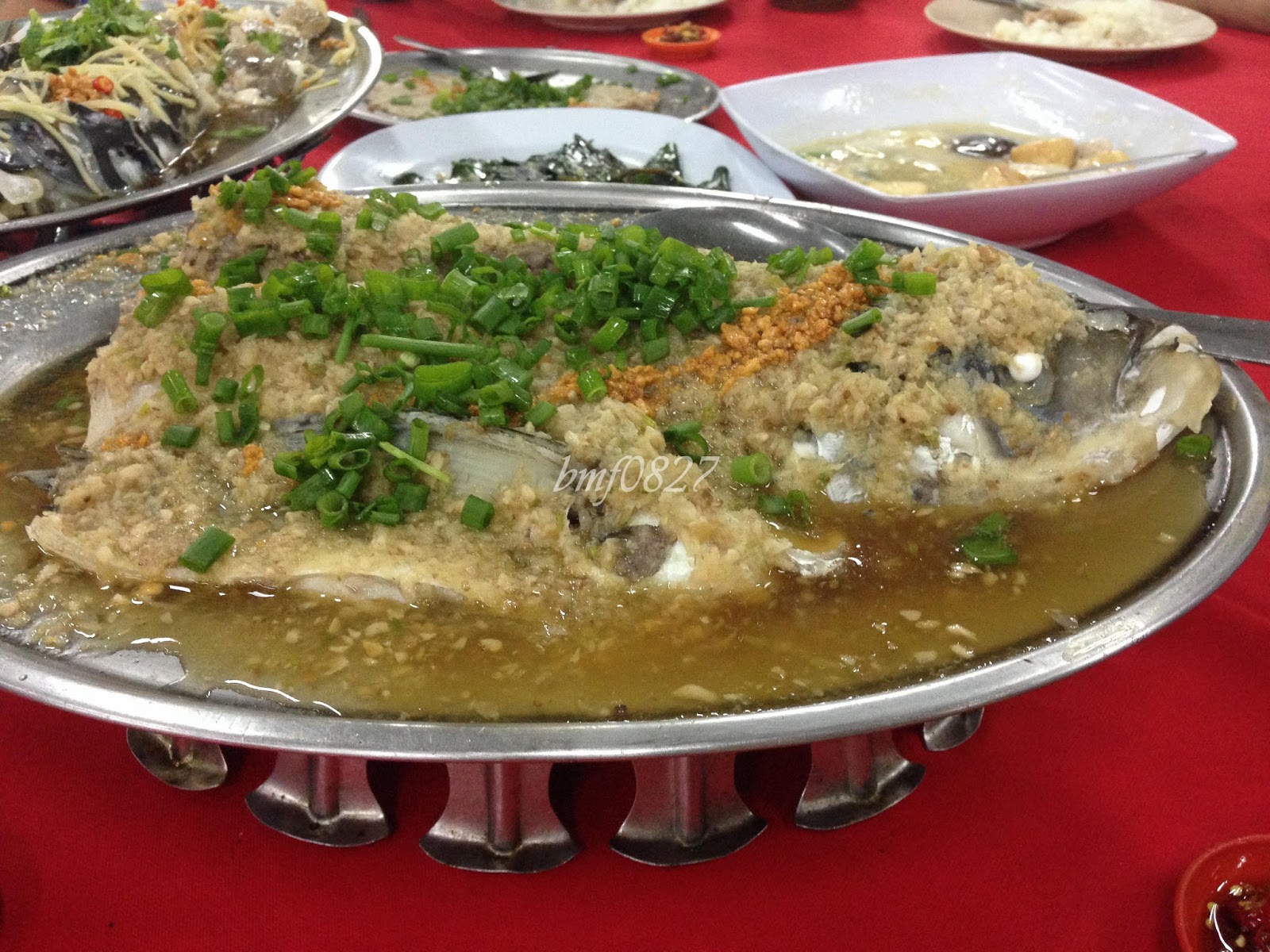 广式鱼头豆腐煲的做法，鲜香嫩滑，打开锅盖肚子都看饿了_哔哩哔哩_bilibili