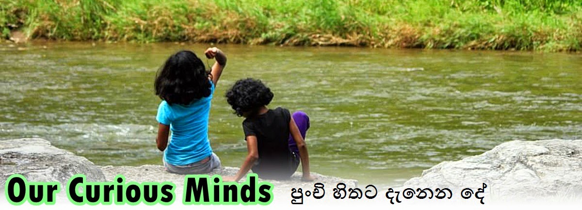 Our Curious Minds පුංචි හිතට දැනෙන දේ