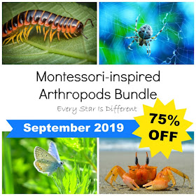 Montessori-inspired Arthropods Bundle