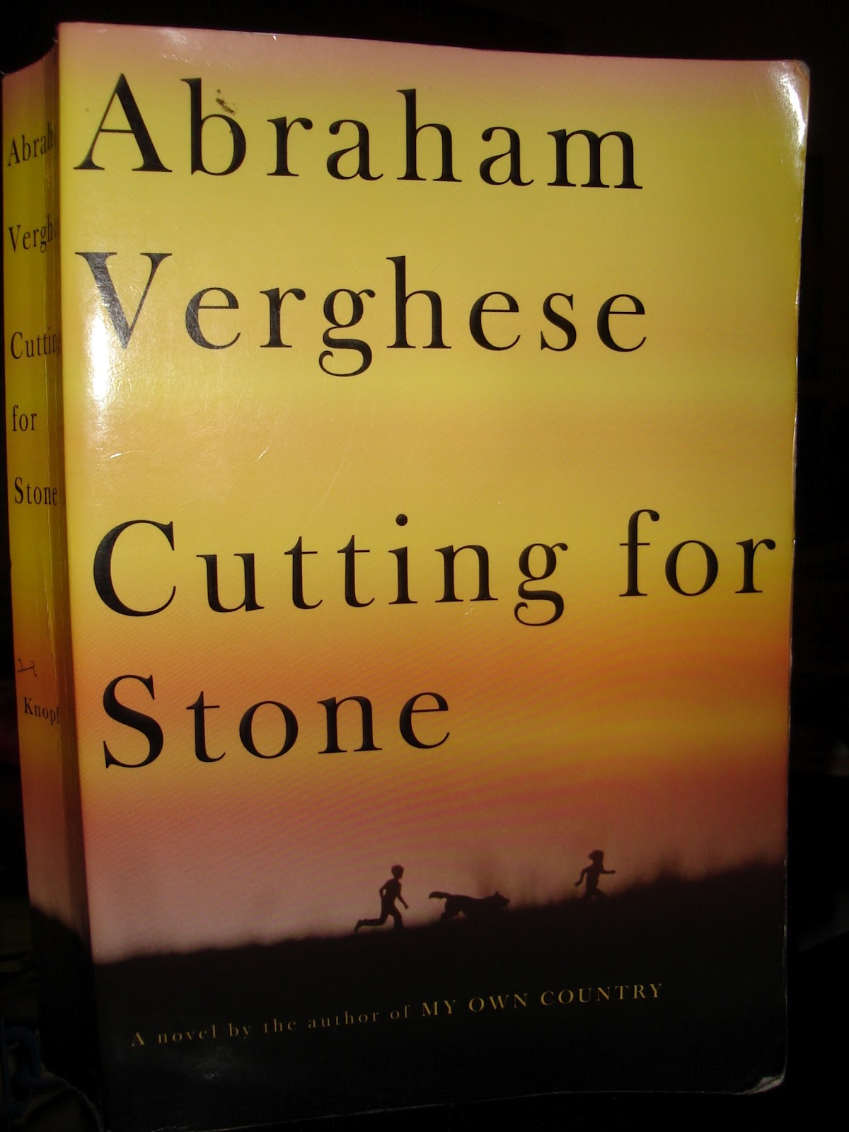 Book Review Cutting for Stone by Abraham Verghese and a little
