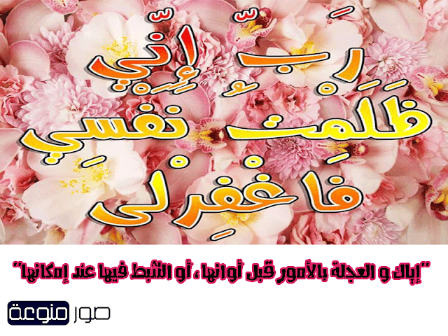 حكم منسوبة للامام علي