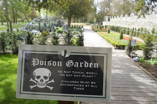 Cork Day Trip: Poison Garden at Blarney Castle