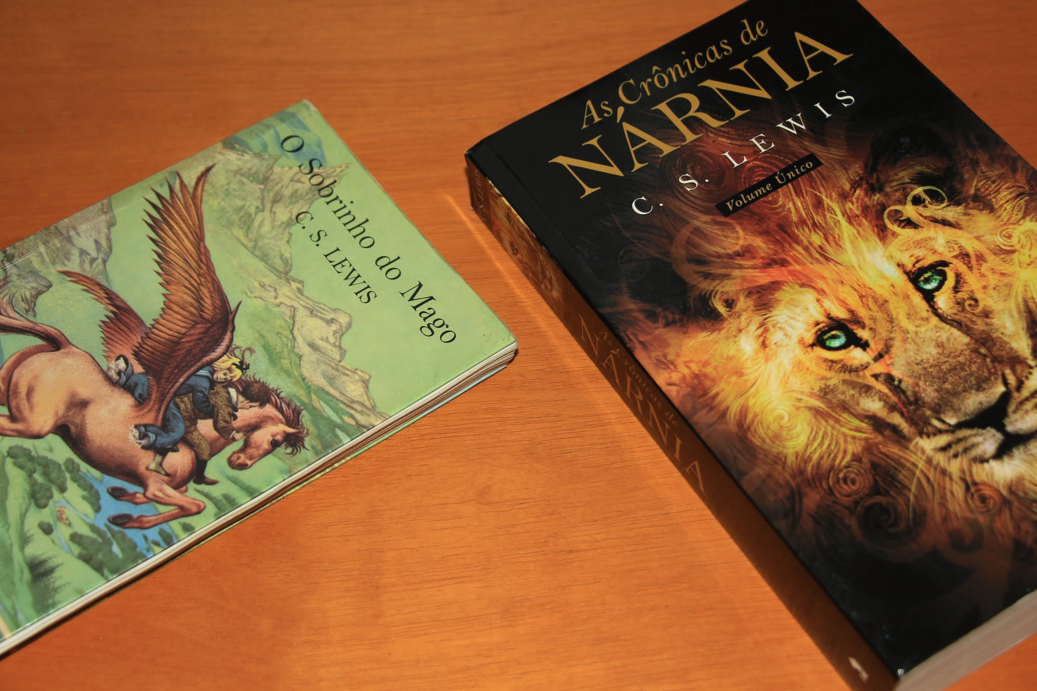 Resenhas e Rabiscos Resenha O Sobrinho do Mago As Crónicas de Nárnia