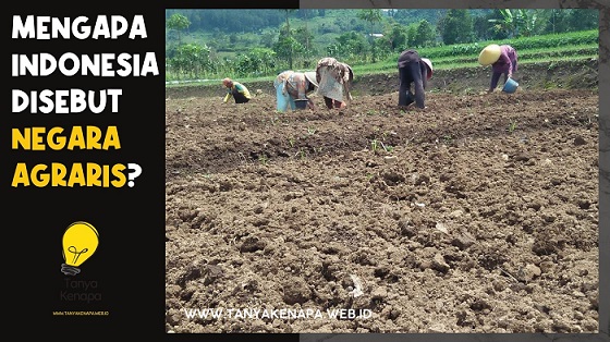 Mengapa Indonesia Disebut Negara Agraris? - Kumpulan Artikel